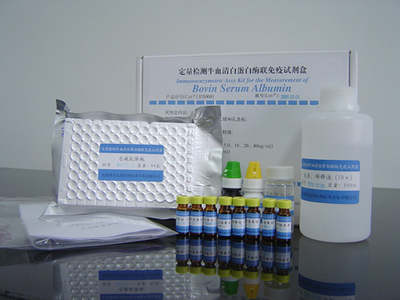 IL-1β檢測試劑價(jià)格與品牌對(duì)比 R&D、RB、IBI、Invitrogen進(jìn)口/國產(chǎn)綜合分析